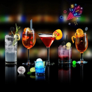 MOLDES PARA HIELOS ECOMLAB INDIVIDUAL / KIT (Copy)