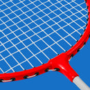Juego de Badminton 2 Raquetas 3 Gallitos Facil de Trasladar