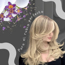 Shampoo Skala Expert Matizador Cabello Rubio Gris Decolorado