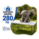 Mesa Plegable de Plástico Portátil Ecomlab Tipo Portafolio de 120 cm – 3 Niveles de Altura
