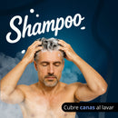 Shampoo Con Tinte Dermafol Para Cubrir Canas 500ML
